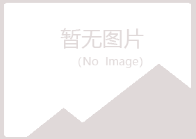 鹤岗兴山南松咨询有限公司